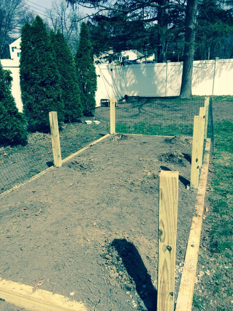 Posts set in concrete