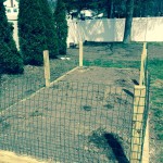 Wire fence to keep out critters