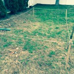 Found the sunny spot for this 8' X 16'  garden