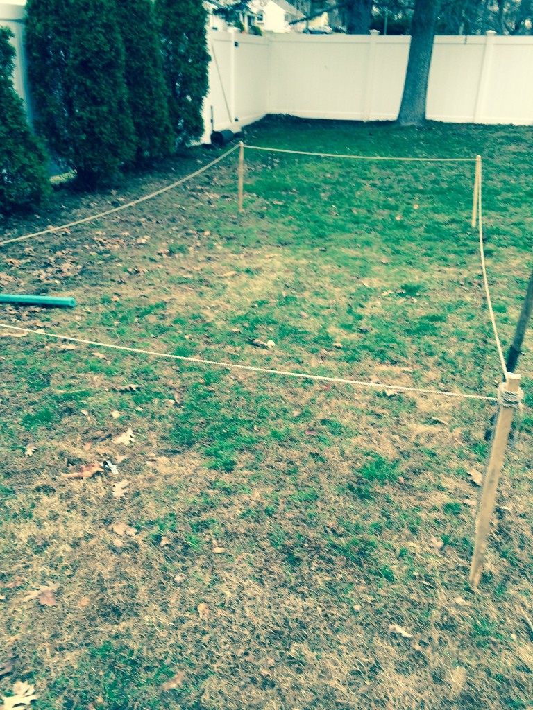 Found the sunny spot for this 8' X 16'  garden