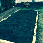 filling up with some quality dirt