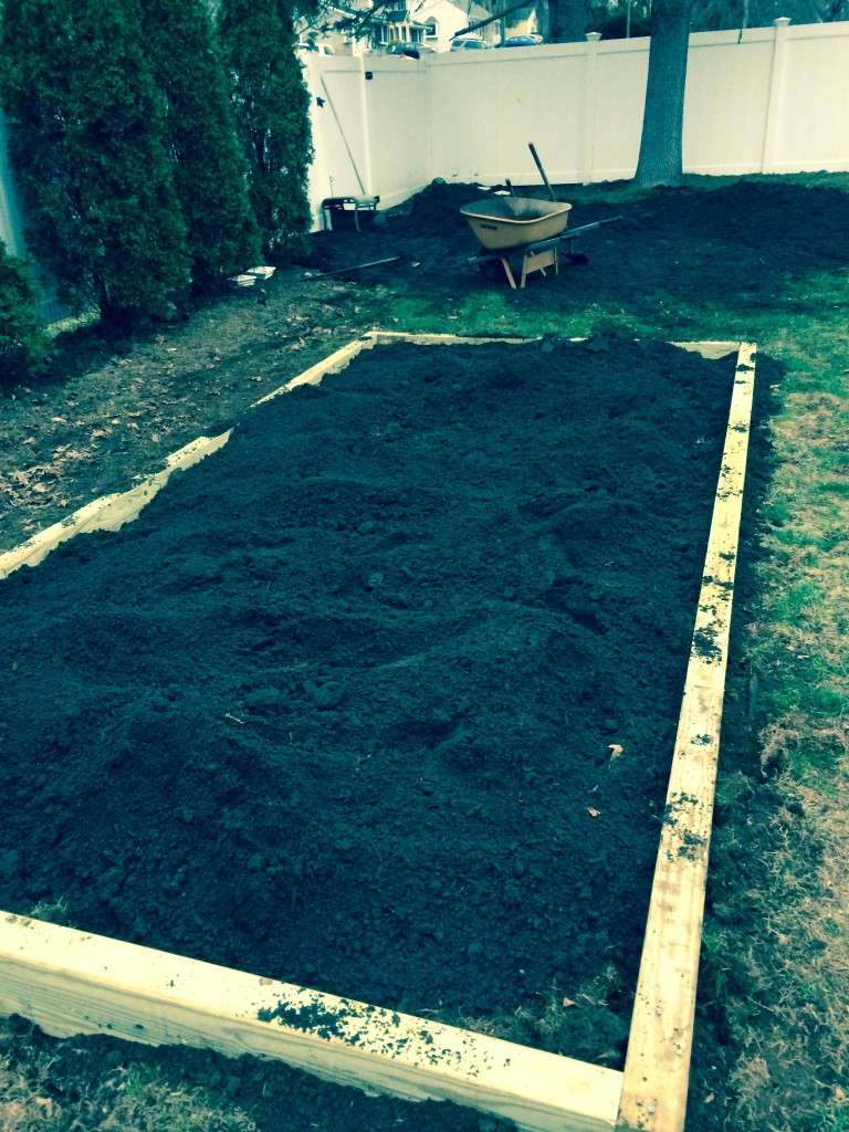 filling up with some quality dirt