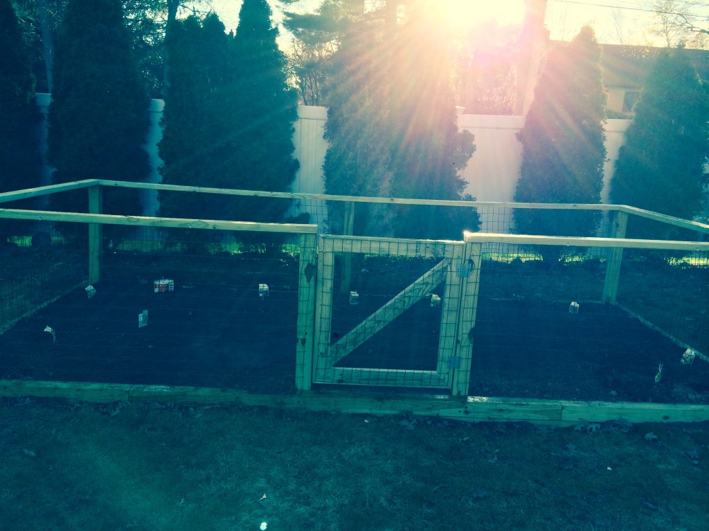 Early spring seeds planted